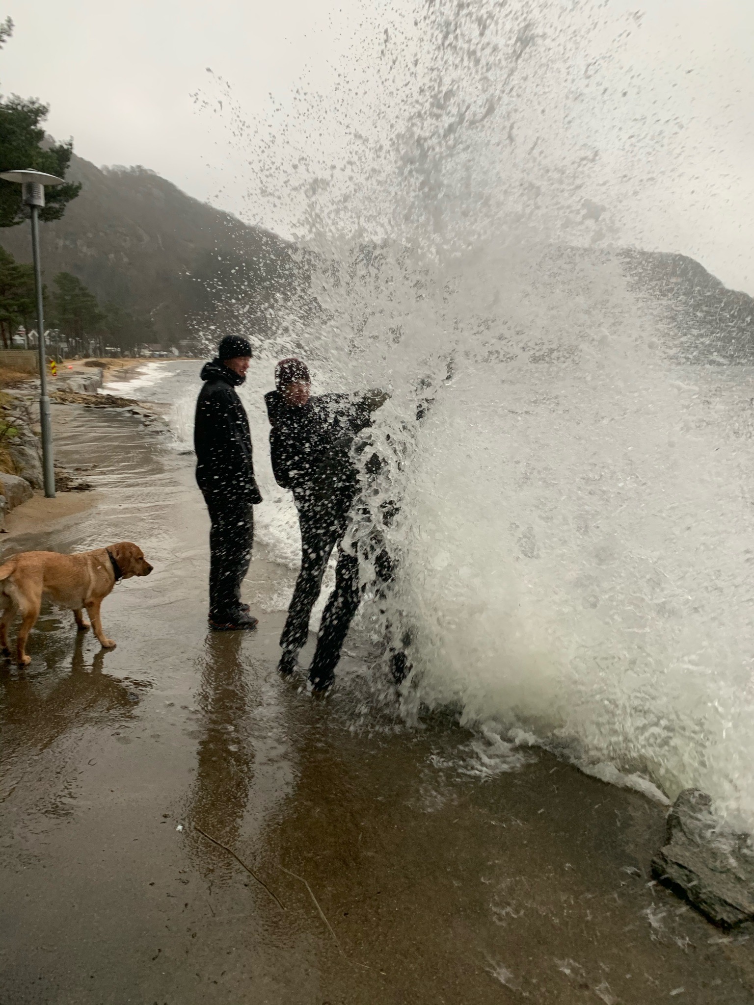 452514F6 CD97 4633 9F8E 627803678C34