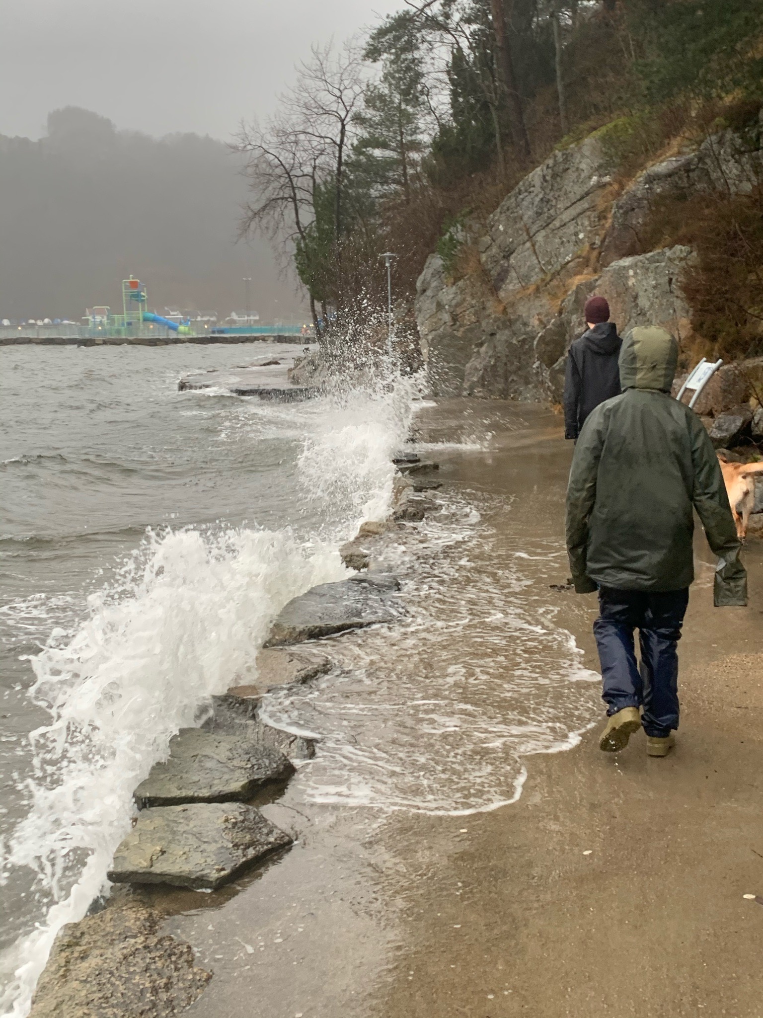 3688374D DC98 4F7F B2D5 55138B8363F4