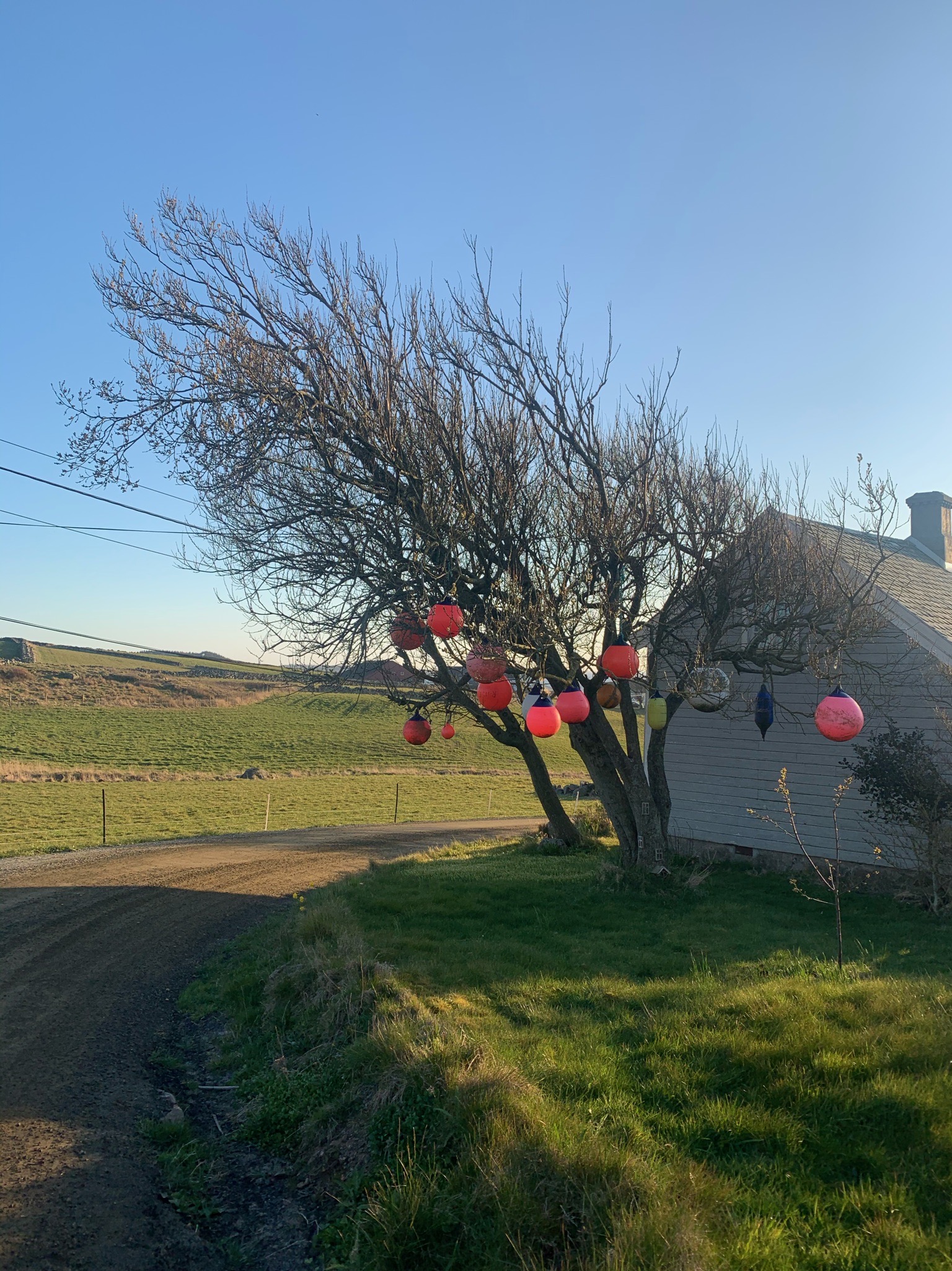 AB9EF29E 0DB7 4505 B0DA 91C529F2ACDB