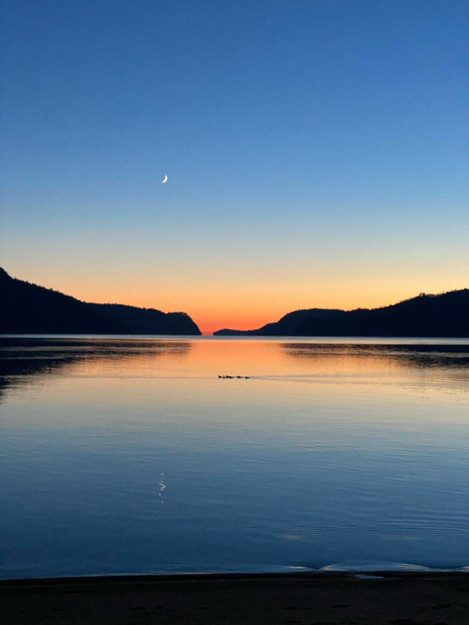 B5217A14 7756 4BBD 9085 873C79FCAE3F