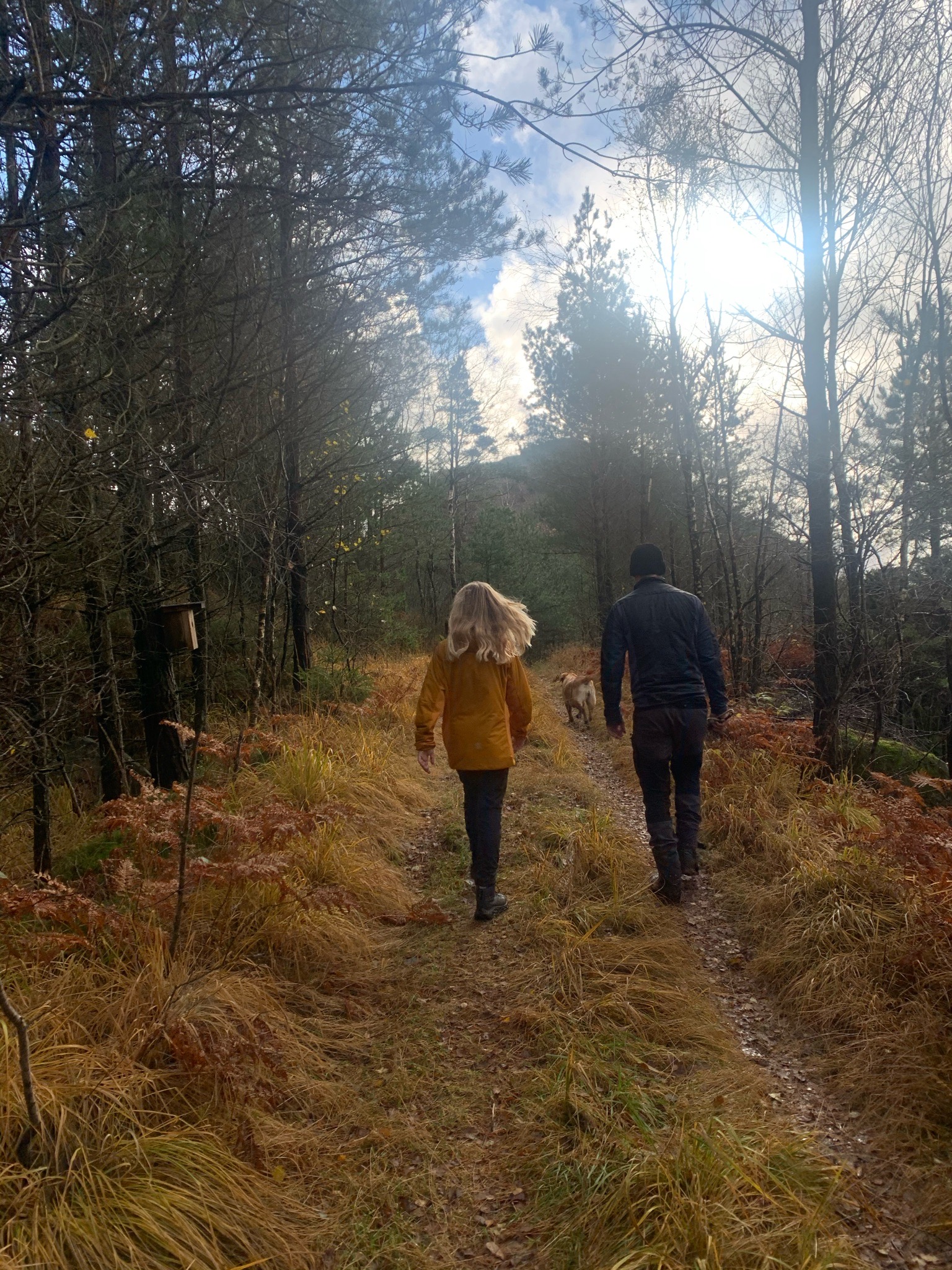 63944E72 A7B6 468F B75A 9FA5DF19629B